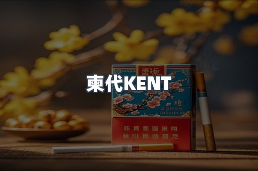柬代KENT